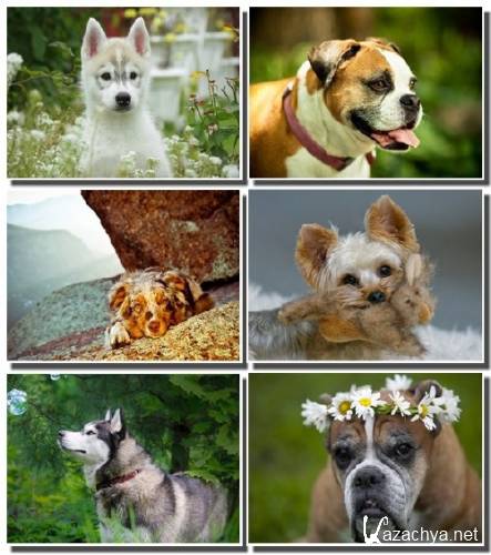 �������� ����� � ��������� - ������ ���� ��������