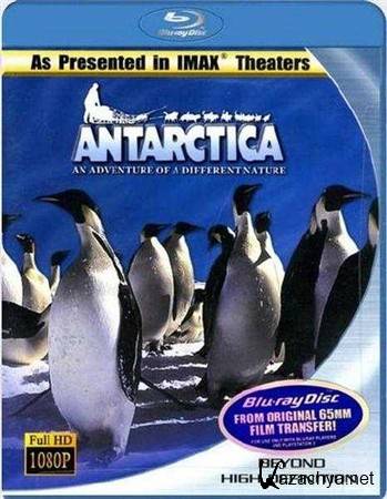 IMAX: :     / IMAX: Antarctica: An Adventure Of A Different Nature (1991) BDRip