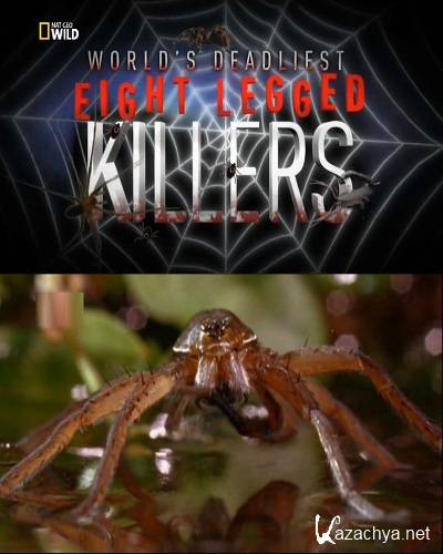   :   / World's deadliest: Eight legged killers (2012) SATRip