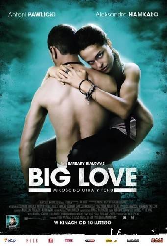   /   / Big Love (2012/DVDRip/700mb)