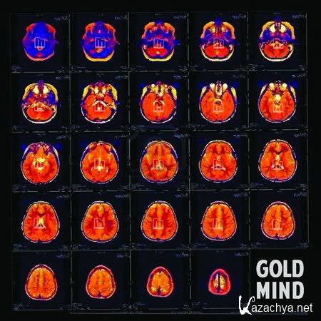 VA - Moombroton.com Presents: Gold Mind (2012)