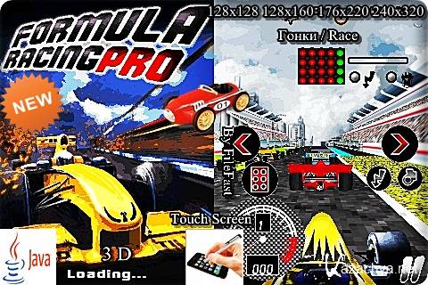 Formula Racing Pro 3D /   