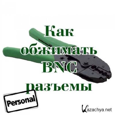   BNC  (2010) DVDRip