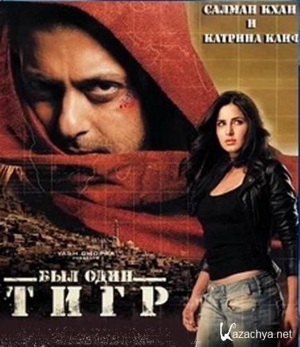    / Ek Tha Tiger (2012 / DVDRip)