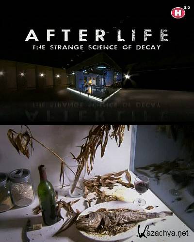  .    / After life. The strange science of decay (2012) SATRip