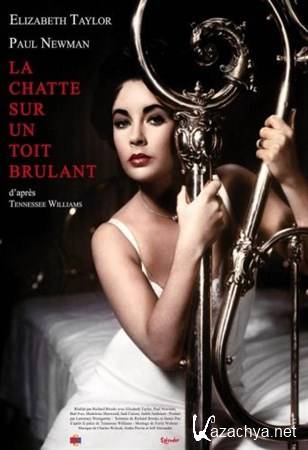     / Cat on a Hot Tin Roof (1958) DVDRip