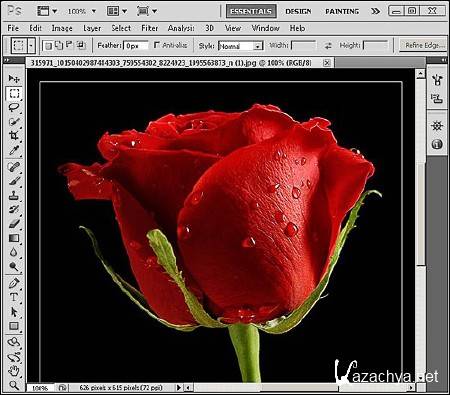 Adobe Photoshop Extended cs5 - " "