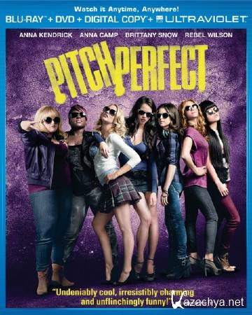   / Pitch Perfect (2012) HDRip