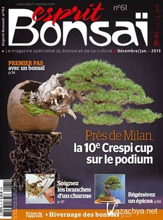 Esprit Bonsai - Decembre 2012/Janvier 2013 (No.61)