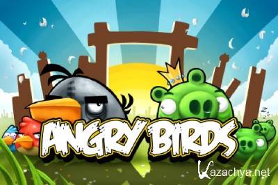 [Symbian/Java] Angry Birds Mobile (360x640)