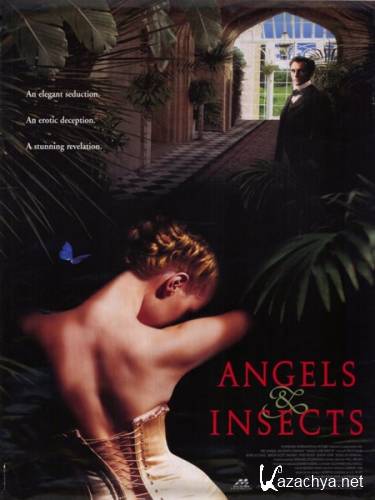    / Angels and insects (1995) DVDRip