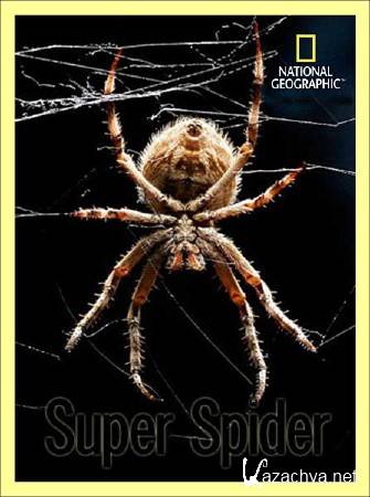   / Super Spider (2012) SATRip 