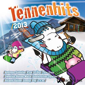 Tennenhits 2013 [2CD] (2012)