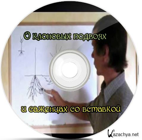        (2012) DVDRip