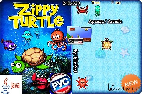 Zippy Turtle /  