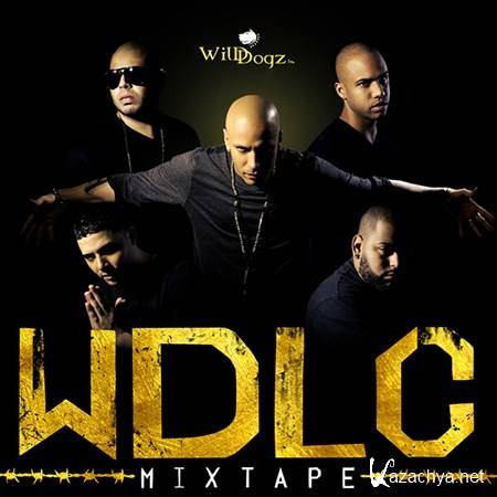 DJ Wild Dogz - La Corporacion (2012)