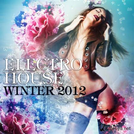 VA - Electro House Winter (2012)