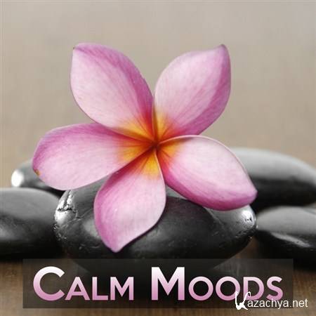 VA - Calm Moods (2013)