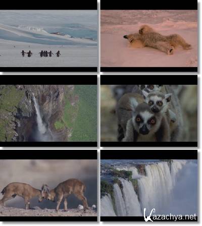 Enigma - Temple Of Love (2013)