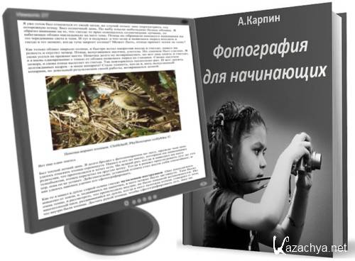    (2012, PDF, DOCx, RUS)