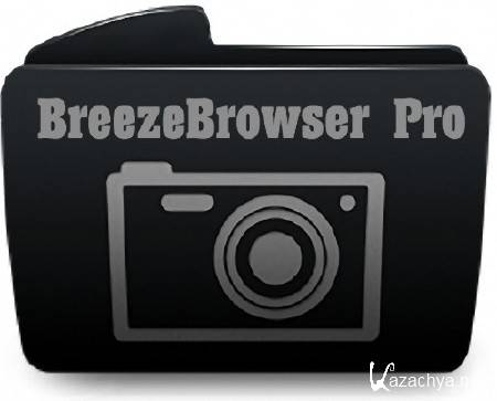 BreezeBrowser Pro 1.9.8.2 + Rus