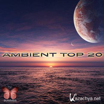 Ambient Top 20 (2013)