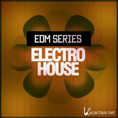 EDM Electro House (2013)