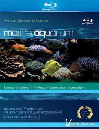   / Marine Aquarium (2008) BDRip