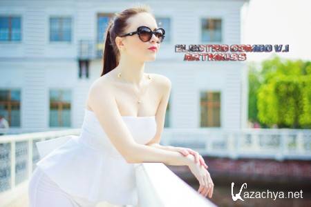 Electro Combo v.1 (2013)