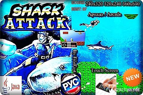 Shark Attack /   