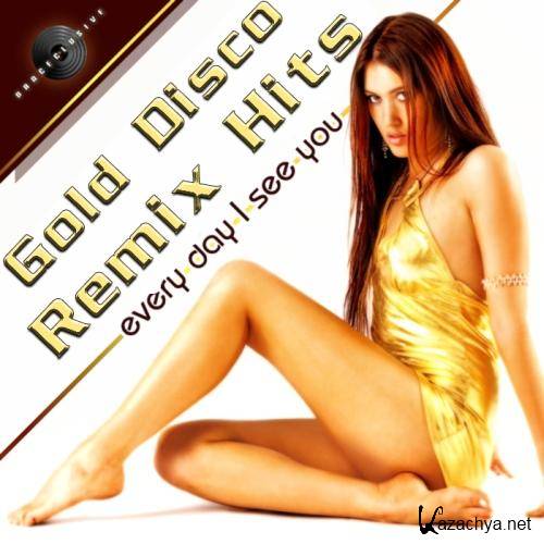  Gold Disco Remix Music (2013) 