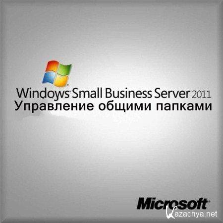 ���������� ������ ������� � Windows Small Business Server 2011 (2012) DVDRip