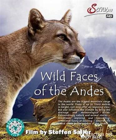    / Im Schatten der Anden / Wild Faces of the Andes (2011) HDTVRip 720p