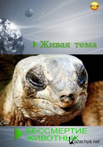 ����� ����. ���������� �������� (2013) SATRip