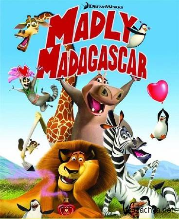   / Madly Madagascar (2013/DVDRip)