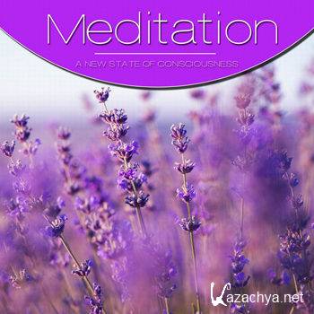 Meditation Vol Purple (2012)