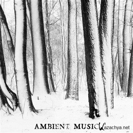  VA - Ambient Music (2013)