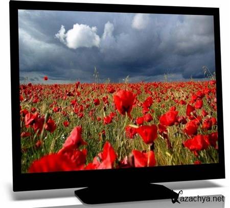 Amazing Nature HD Wallpapers 1680x1050