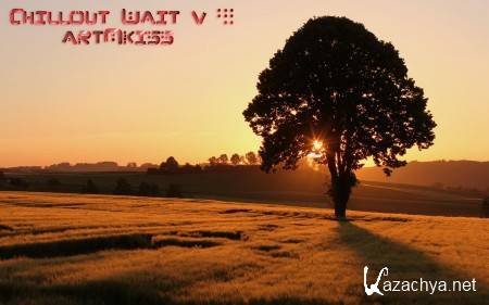 Chillout Wait v.8 (2013)