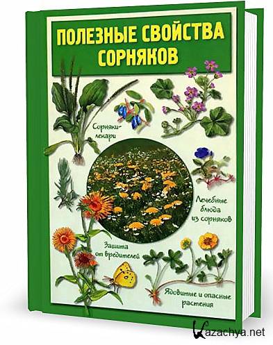 �������� �������� ��������