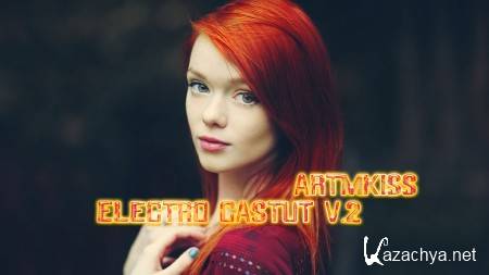 Electro Castut v.2 (2013)