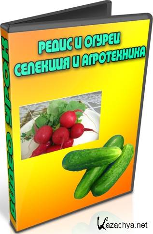 ����� � ������. �������� � ����������� (2013) DVDRip