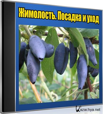 ���������. ������� � ���� (2012) DVDRip