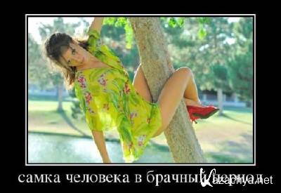 �������� ������������� � 555