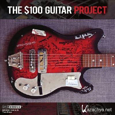 The $100 Guitar Project (2013)