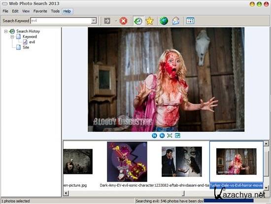 Web Photo Search 2013