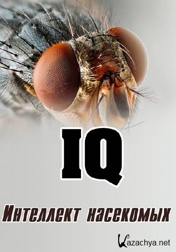 Academia. ��������� ��������� (2013) SATRip