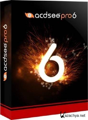 ACDSee Pro 6.1 Build 197 (x64/RUS) Update 19.12.2012 Portable