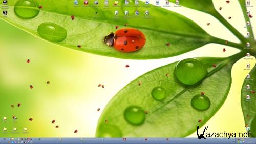      / Ladybug on Desktop 1.21