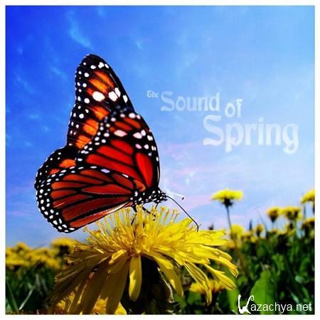 VA - The Sound of Spring (2013)